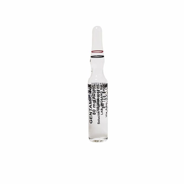 Gentamicina 80 mg / mL